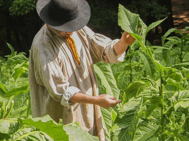 Best of Claude Moore Colonial Farm