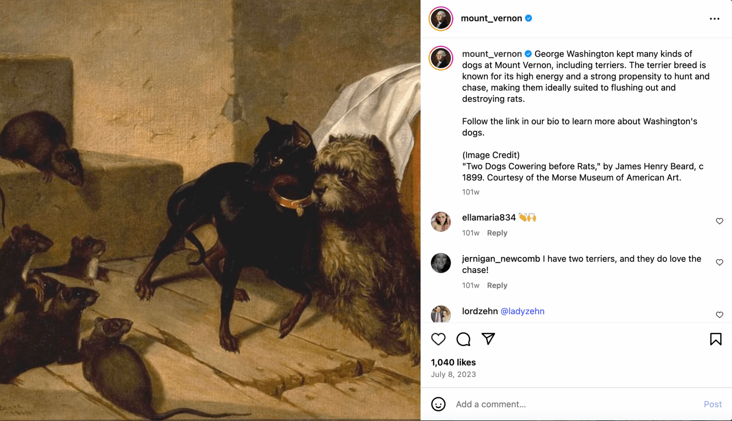 Facebook post - Rat Terrier