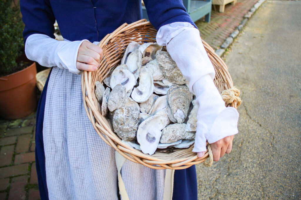 Detail of large oyster shells, representing Annapolis’s maritime economy, 1774.