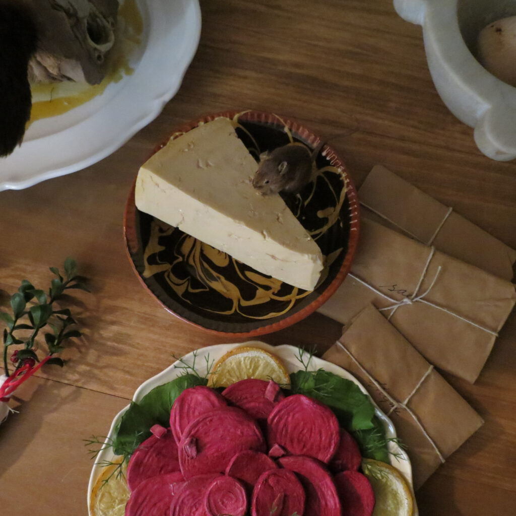 Pantry Detail. A small mouse is perched atop cheese in the kitchen pantry. 2025.