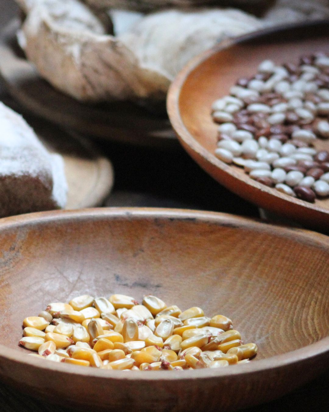 Close detail of dried corn and beans, displayed as part of an 18th-century food store in living history photography style.