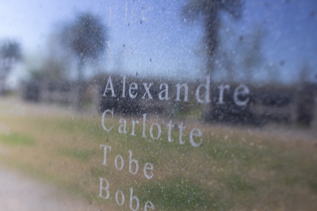 Detail of the Allées Gwendolyn Midlo Hall Memorial at Whitney Plantation in Wallace, LA. 2026.