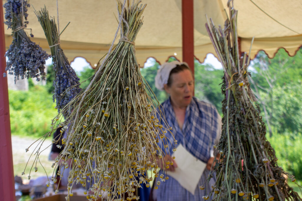 A camp follower before dried herbs at the flying hospital, Fort Ticonderoga, Ticonderoga, NY. 2026.