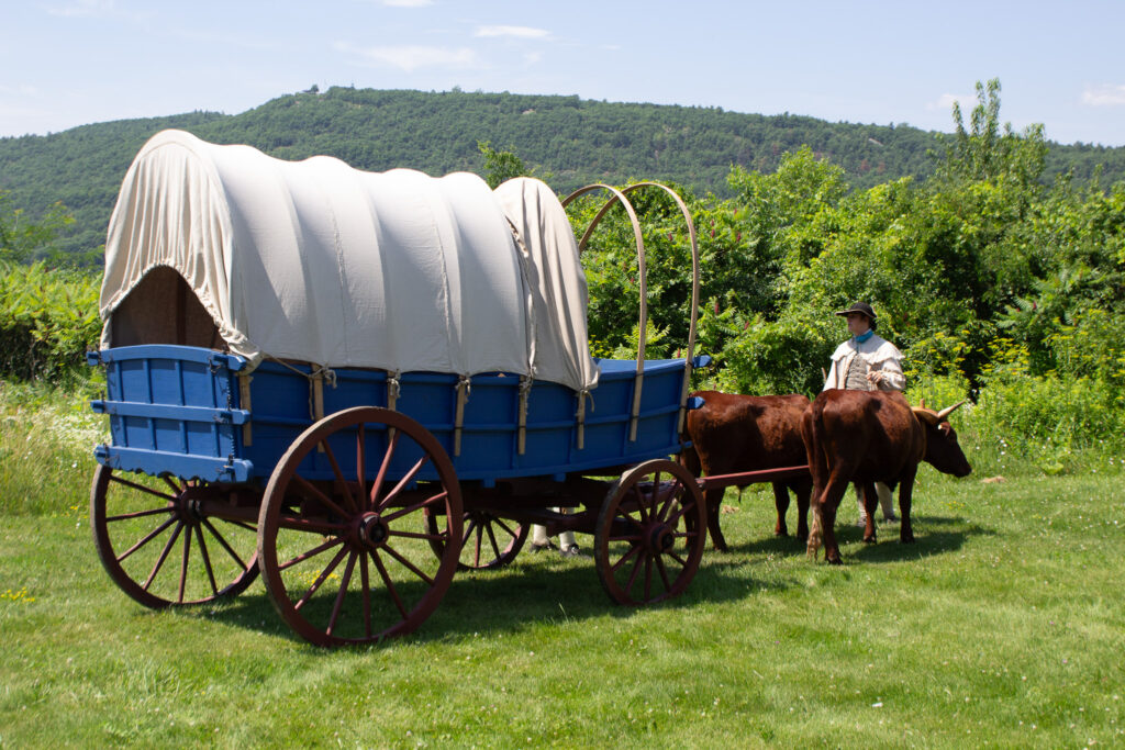 Flying hospital Conestoga wagon with in-training oxen and teamster, outside the walls of Fort Ticonderoga, Ticonderoga, New York. 2026.