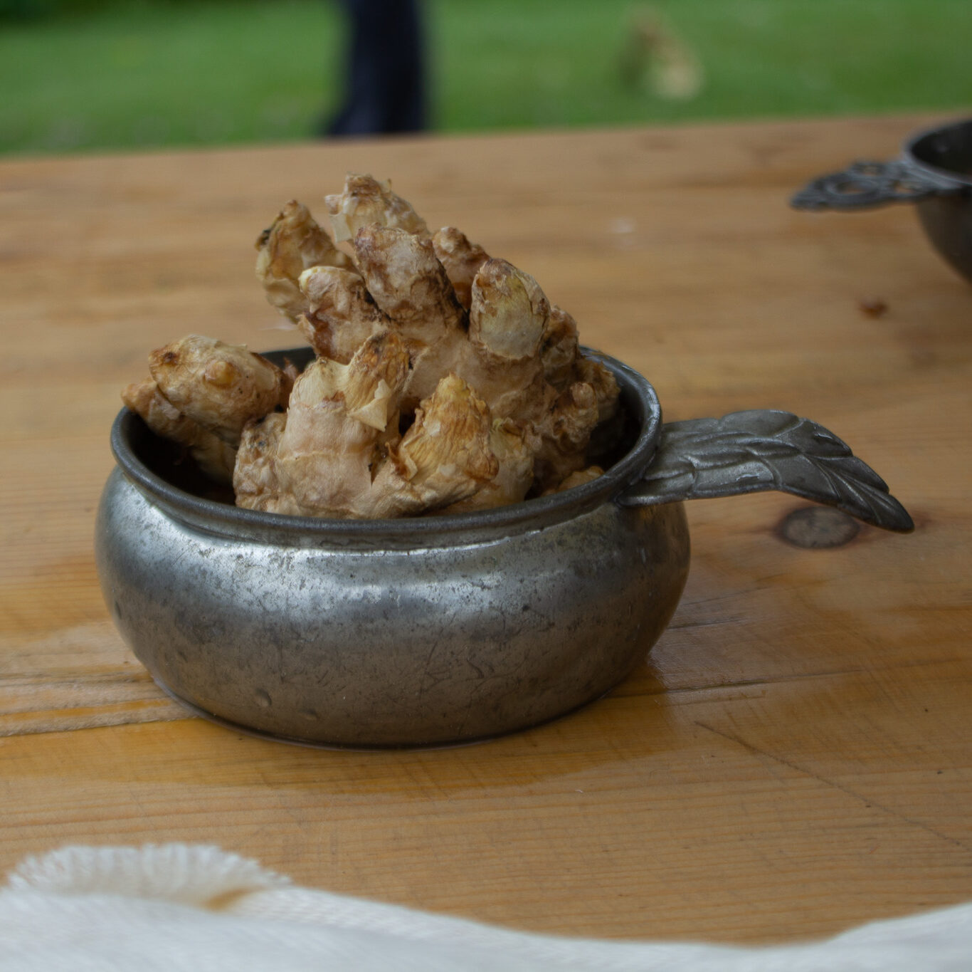 Ginger root at the flying hospital, Fort Ticonderoga, Ticonderoga, NY. 2026.