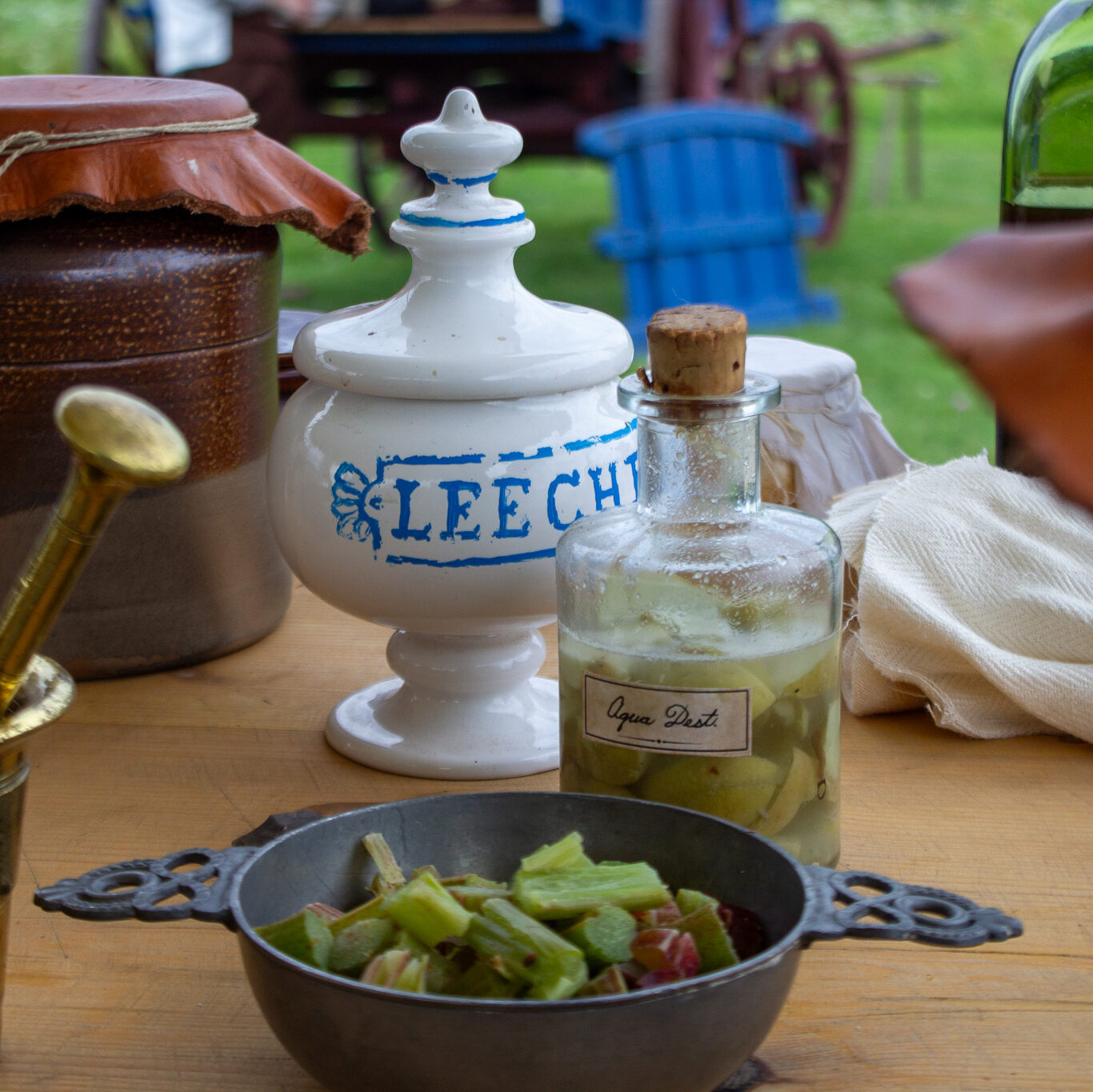 Leech jar and rubarb at the flying hospital, Fort Ticonderoga, Ticonderoga, NY. 2026.